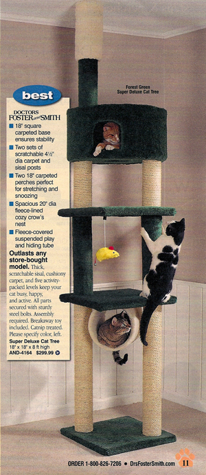Illustration for article titled Doctors Foster & Smith: The Crazy Cat Lady Catalog